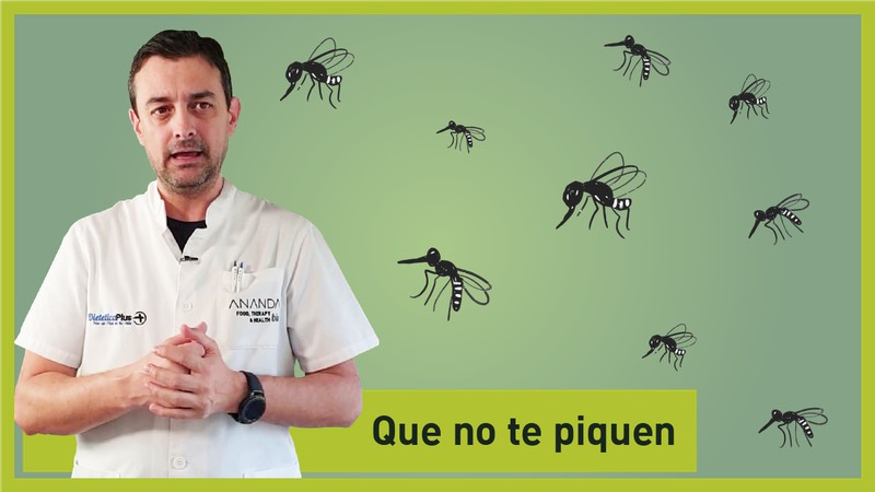 Que no te pique el p**o mosquito 🦟