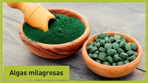 Spirulina i Chlorella Algues miraculoses?