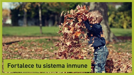 A per una tardor saludable - Pot ser el teu amic en contra dels refredats
