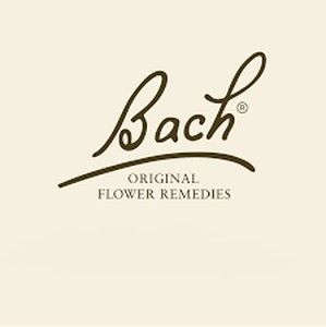 BACH ORIGINAL