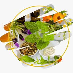 Fitonutrients