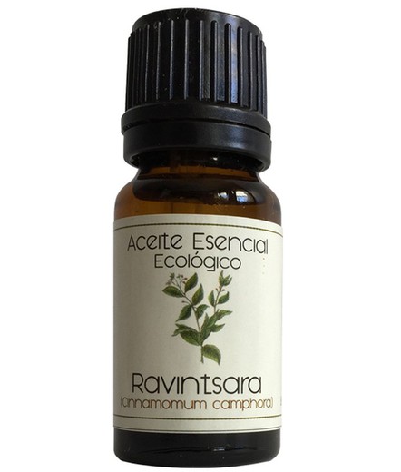 Oli Esen. Ravinsara (Cinnamomum Camphora) 12 Ml