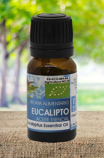 Oli Essencial Eucaliptus Bio 10 Ml