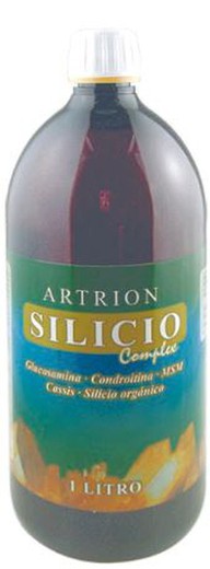 Artrion Silicio Complex 1 L