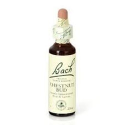 Bach 07 Chestnut Bud O Castaño Brote (Bach) 20ml