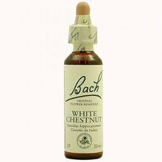 Bach 35 White Chestnut O Castanyer Blanc (Bach) 20ml