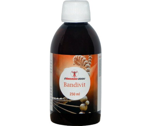 Bandivit Xarop 250 Ml