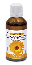 Calendula