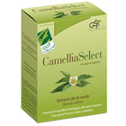 Camelliaselect 60 Vcap