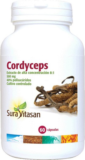 Cordyceps 500 Mg 60 Vcaps