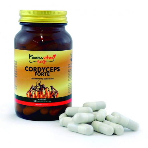 Cordyceps Forte PV 60 Cápsulas Pamies Vitae