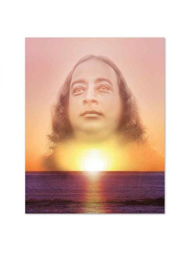 Despierto - La Vida De Yogananda, A Colores 27,9x35,5cm