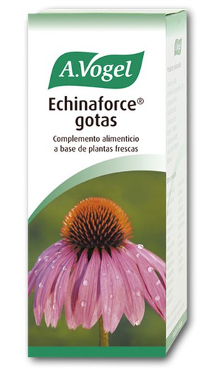 Echinaforce (A.Vogel) 100 Ml