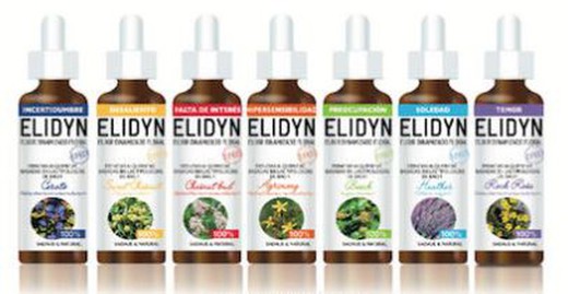 Elidyn Chicory 20ml Nutergia