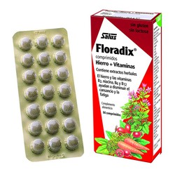 Floradix 84 Comp
