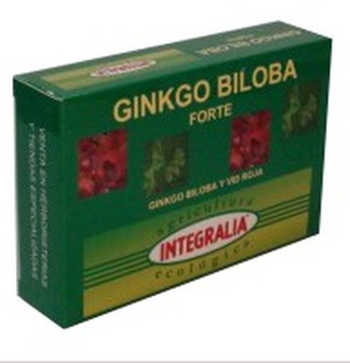 Ginkgo Biloba Forte Eco 60  cápsulas