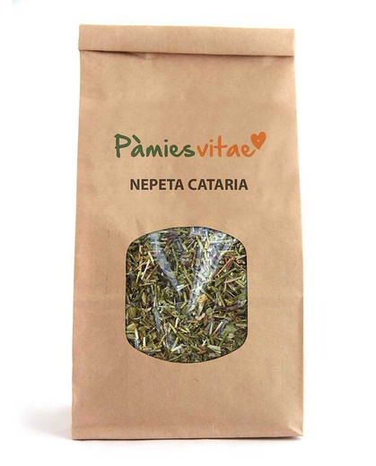 NEPETA CATARIA - Nepeta cataria Bolsa 1 Kg