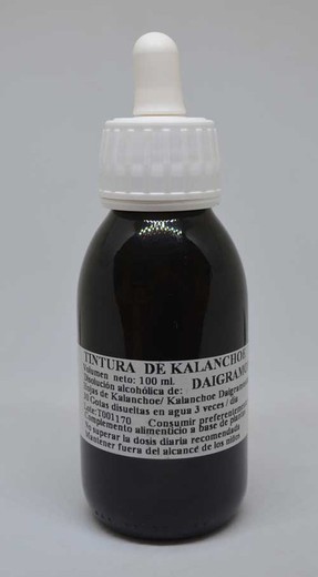 Tintura Kalanchoe Daigremontiana 100ml Pamies Vitae