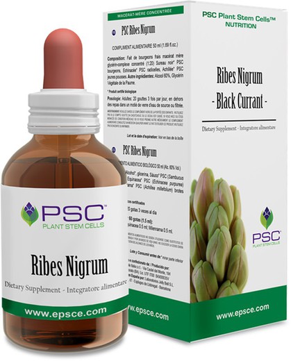Psc Ribes Nigrum 15 Ml