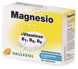 Vallesol Magnesi+B 24comp Efe