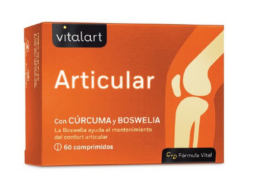 Vitalart Articular 60 Comp