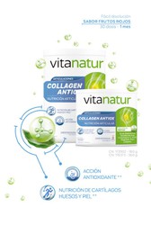 Vitanatur Colageno Antiox  360 Gr