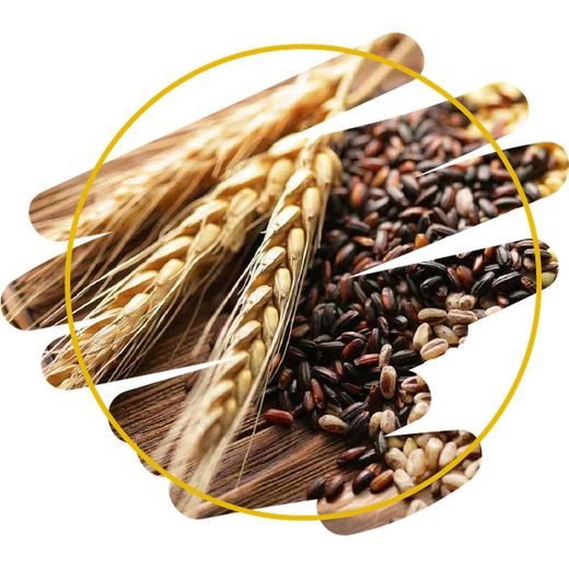 Cereals, Llegums i Pasta