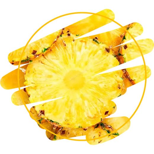 Enzimas Digestivas y Probióticos