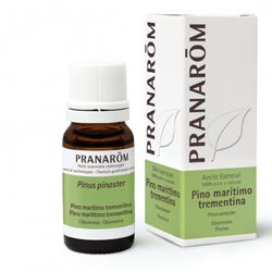 A esencial pino maritimo oleoresina bio 10 ml