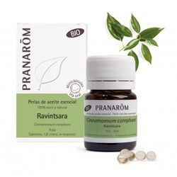 A esencial ravintsara hoja bio 60 minicapsulas
