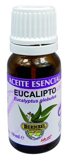 Aceite esencial de eucalipto 10 ml