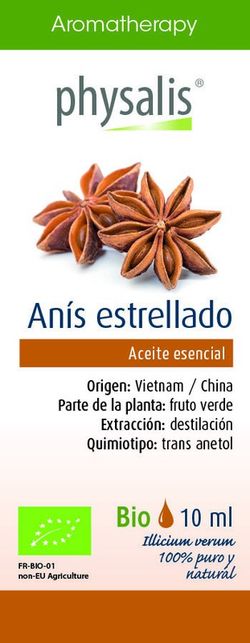 Anis Estrellado 10 Ml