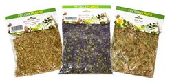 Anis Verde 60 Gr