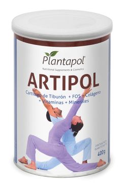 Artipol Flex 300 Gr Oseopol