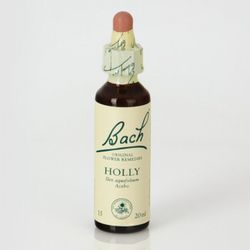 Bach 15 Holly O Acebo (Bach) 20ml