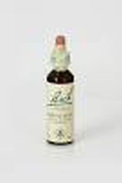 Bach 18 Impatiens O Impaciencia (Bach) 20ml