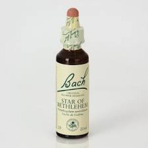 Bach 29 Star Of Bethlehem O Estrella De Betlem (Bach) 20ml