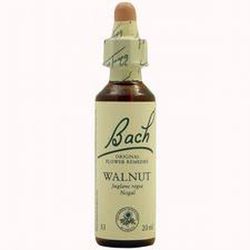 Bach 33 Walnut Nogal (Bach) 20ml