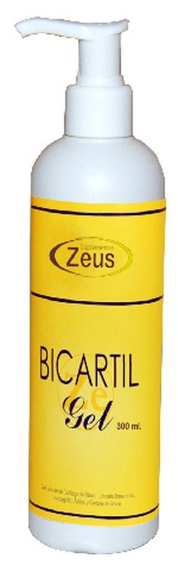 Bicartil Gel 300 Ml