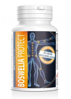 Boswelia Protect 500 Mg 45 Perlas Intersa