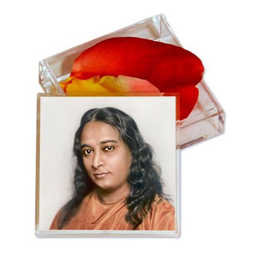 Caixa Quadrada Per a Pètals