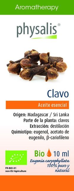 Clavo 10 Ml