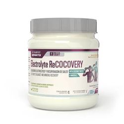 Electrolyte Recocovery Pot Sports 450 Gr