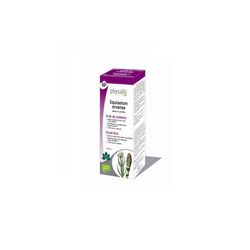 Equisetum Arvense 100 Ml