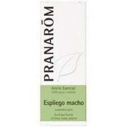 Espliego macho sumidad florida 10 ml