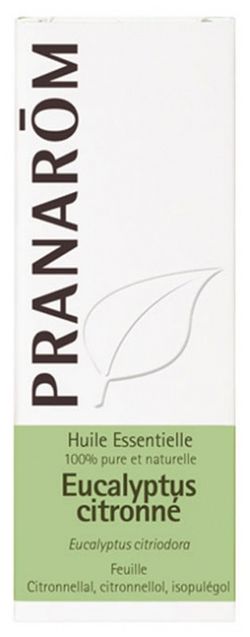 Eucalipto azul hoja 10 ml