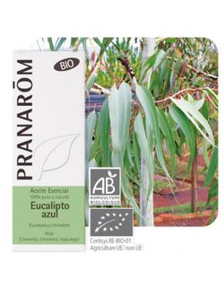 Eucalipto azul hoja 10 ml bio