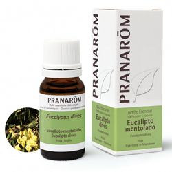 Eucalipto mentolado hoja 10 ml