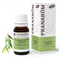 Eucalipto radiata hoja 10 ml bio