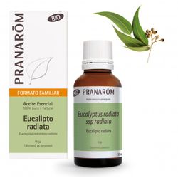 Eucalipto radiata hoja bio 30 ml
